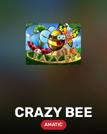 Crazy Bee