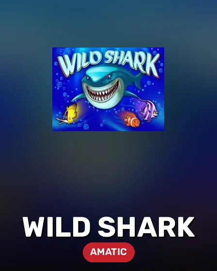 Wild Shark