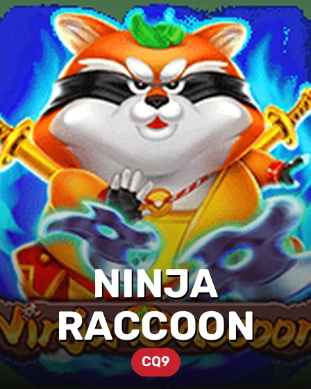 Ninja Raccoon