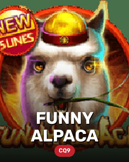 Funny Alpaca