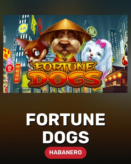 Fortune Dogs