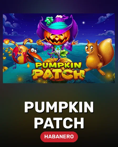 Pumpkin Patch