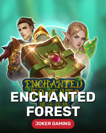 Enchanted Forest