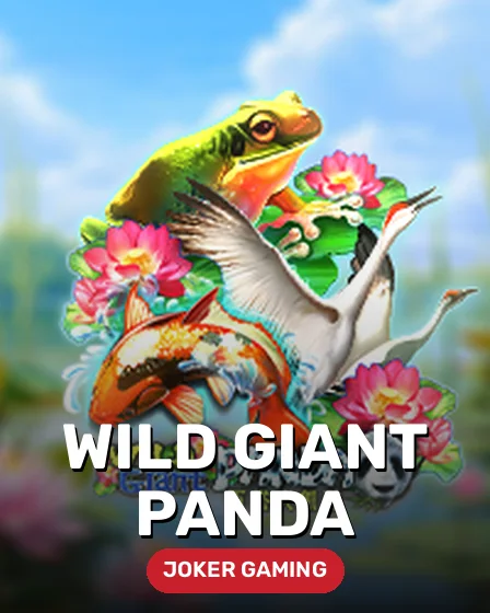 Wild Giant Panda