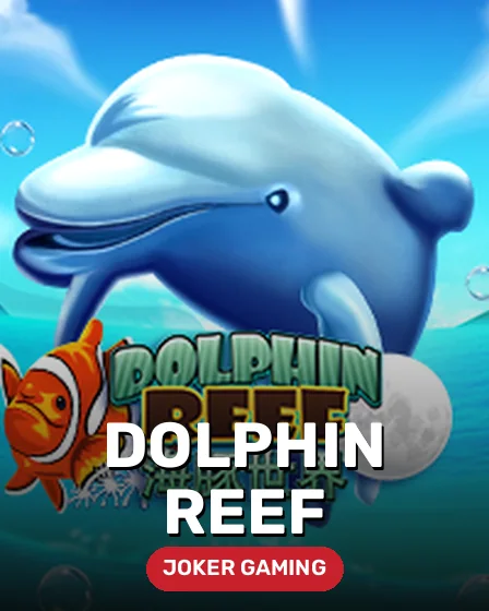 Dolphin Reef