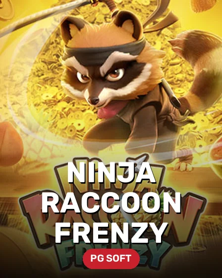 Ninja Raccoon Frenzy