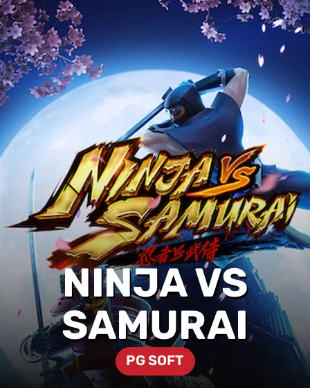 Ninja vs Samurai