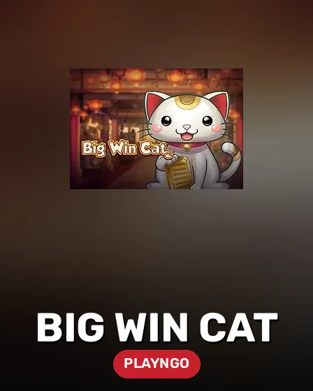 Big Win Cat