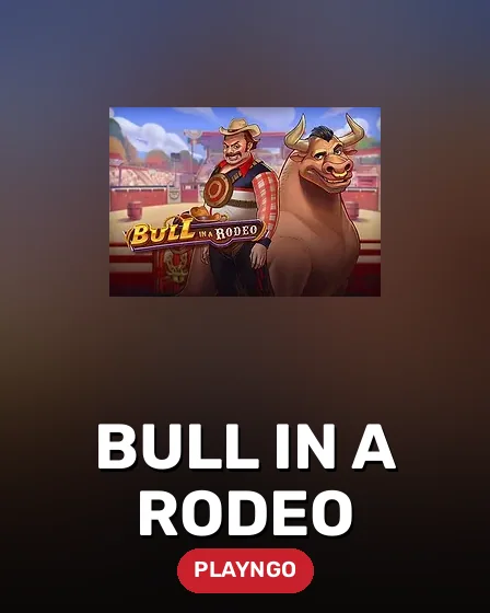Bull in a Rodeo