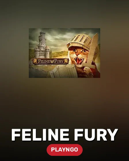Feline Fury