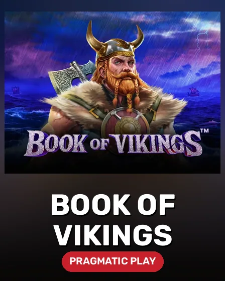Book of Vikings