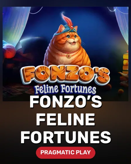 Fonzo’s Feline Fortunes