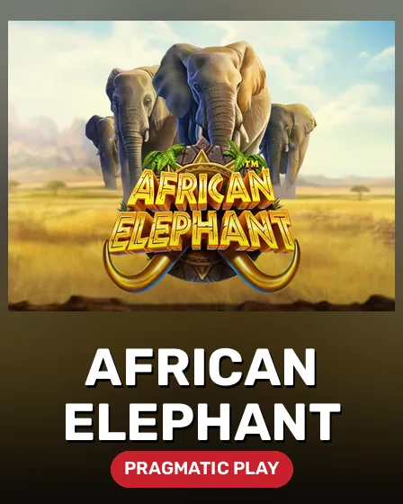 African Elephant