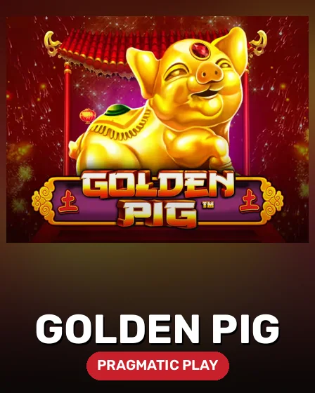 Golden Pig
