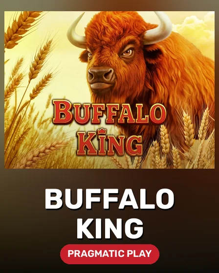 Buffalo King