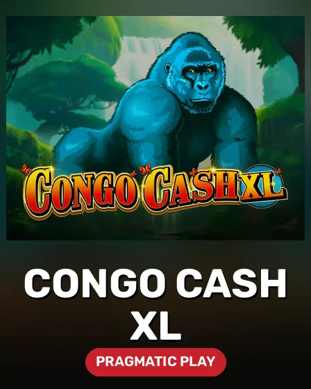 Congo Cash XL