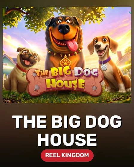 The Big Dog House
