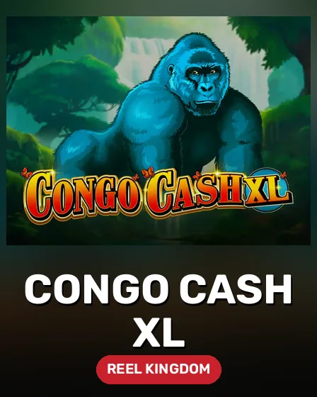Congo Cash XL