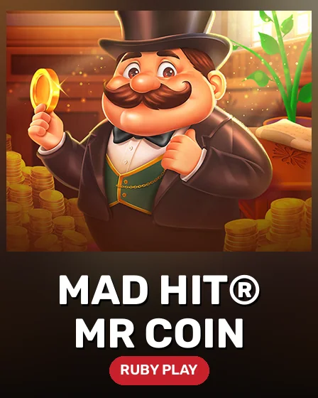 Mad Hit® Mr Coin