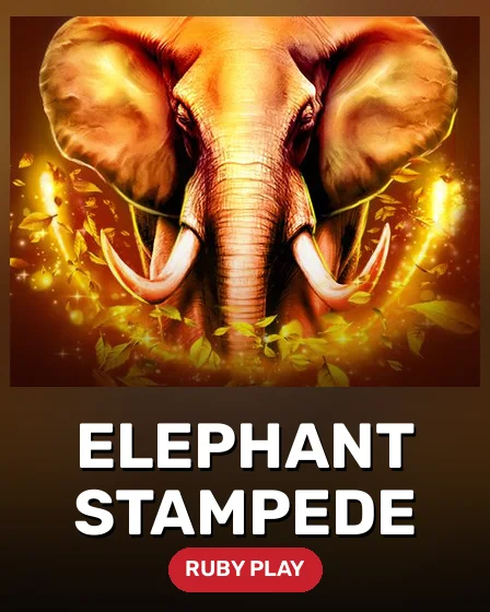 Elephant Stampede